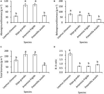 Changes of Aboveground and Belowground Biomass Allocation in Four Dominant Grassland Species Across a Precipitation Gradient